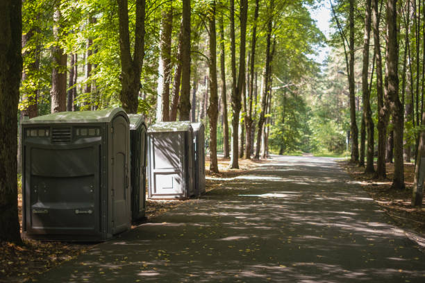Best Portable restroom trailer rental  in Madison Lake, MN