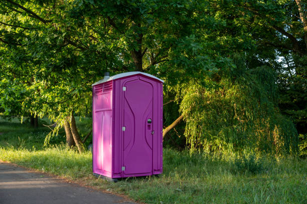 Best Luxury portable toilet rental  in Madison Lake, MN